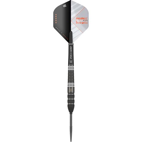 Target Raymond Van Barneveld RvB95 X Echo Swiss Point Steeldarts 23g