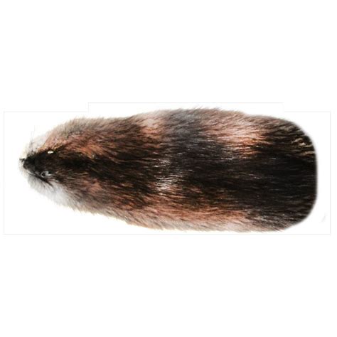 #2 Muskrat Fur