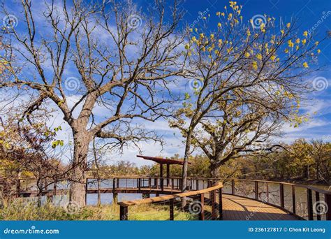 Beautiful Fall Color Of The Martin Park Nature Center Stock Image