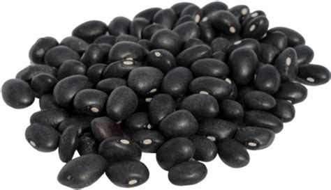 Beans Png Transparent Images