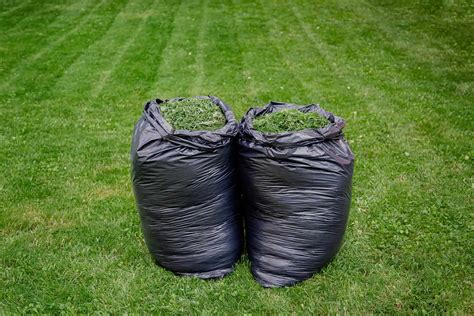 A List Of Grass Clippings As Mulch Pros And Cons