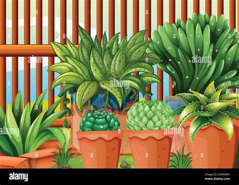 Pots With Plants Stock Vector Image Art Alamy