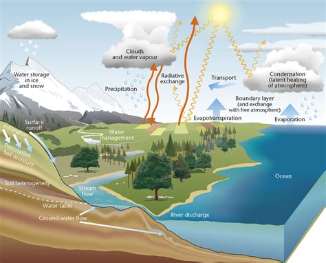 Hydrological Cycle Diagram