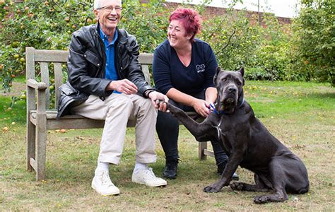 Paul Ogrady For The Love Of Dogs Itv