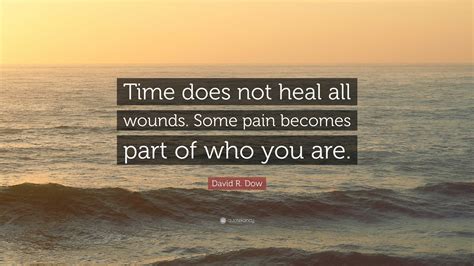 David R Dow Quote Time Does Not Heal All Wounds Some Pain Becomes