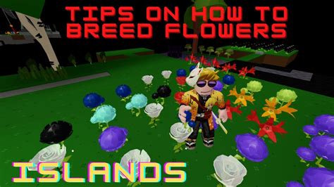 How Do I Breed Flowers In Islands Roblox at Shawn Bussey blog