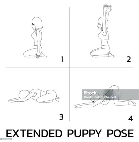 Extended Puppy Pose Yoga Manga Tutoriel Comment Cartoon Vector