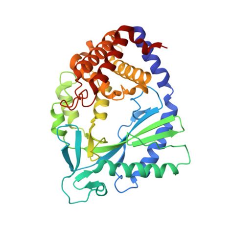 Rcsb Pdb Ftp Crystal Structure Of Human Cyclic Gmp Synthase In