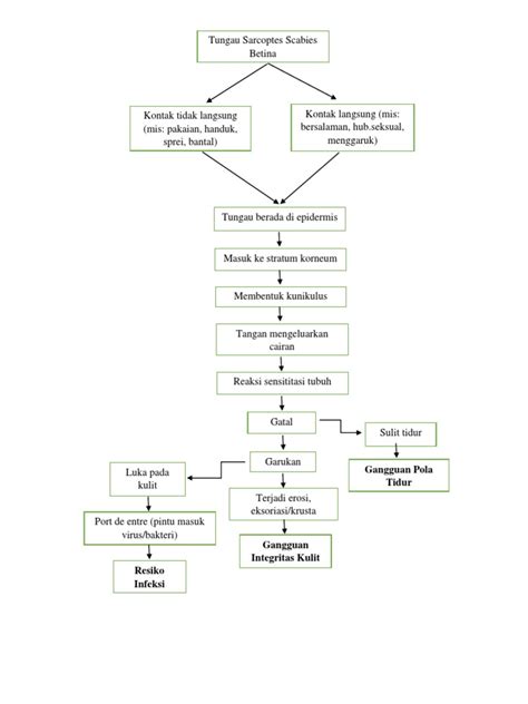 Pathway Scabies Pdf