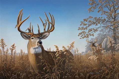 Big City Bucks Deer Painting Deer Art Hunting Art