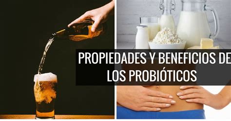 Propiedades Y Beneficios De Los Probi Ticos En El Cuerpo Fullmusculo