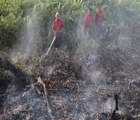 Hotspot Sumbar Terbanyak Di Sumatera BMKG Riau Nihil Sumber