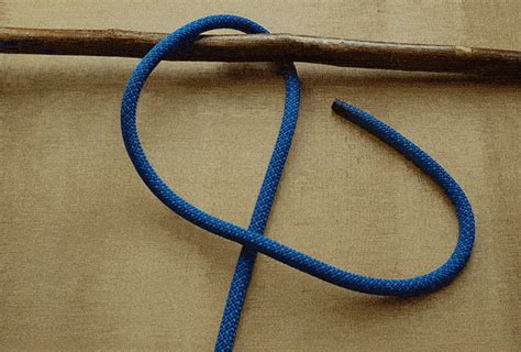 Camping Knots: 6 Essential Knots Every Camper Needs to Know