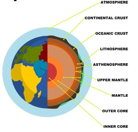 Invasive Species Biomes Scientific Method Flashcards Quizlet