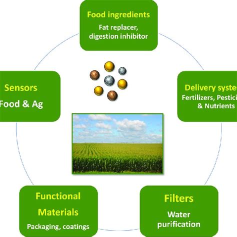 Nanotechnology Has Various Potential Applications In The Food And