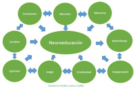 Las Diez Claves De La Neurociencia Para Mejorar El Aprendizaje