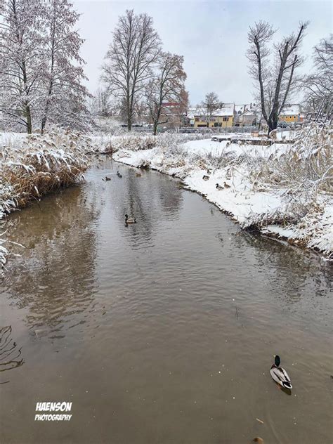 A Weng Naus Spaziergang Im Schnee Kitziblog