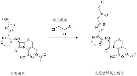 检测β 内酰胺酶活性