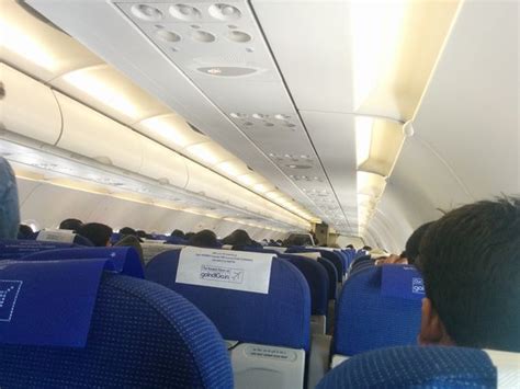 Indigo Plane Inside