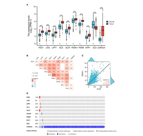 Expression And Genetic Alterations Of CRGs In GBM A The Expression