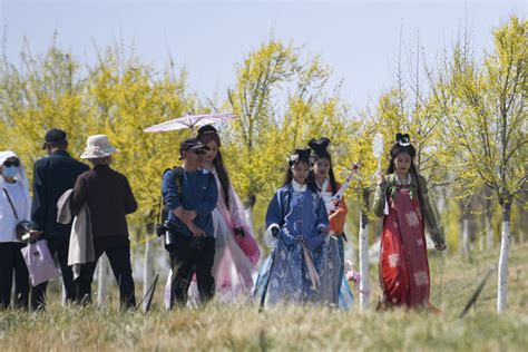 新疆博乐市第五届海棠文化旅游节开幕 中新网·新疆