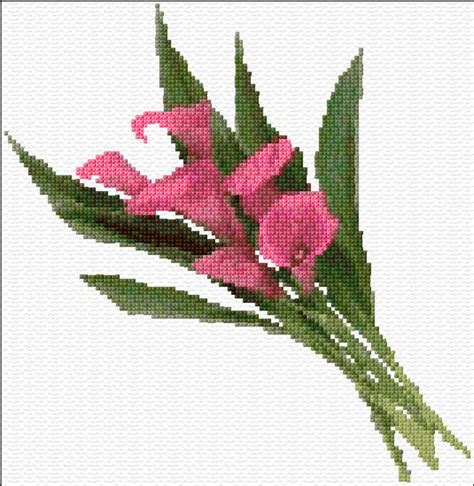 Calla Lilies Cross Stitch Designs