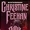 Dark Prince The Carpathians Dark Series Book 1 Feehan Christine