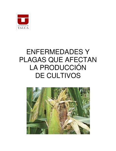 Informaciones Agronomicas Enfermedades Y Plagas De Los Cultivos Hot