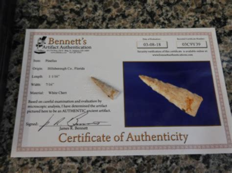 Fl Chert Drill Wcoa Fossils And Artifacts For Sale Paleo Enterprises