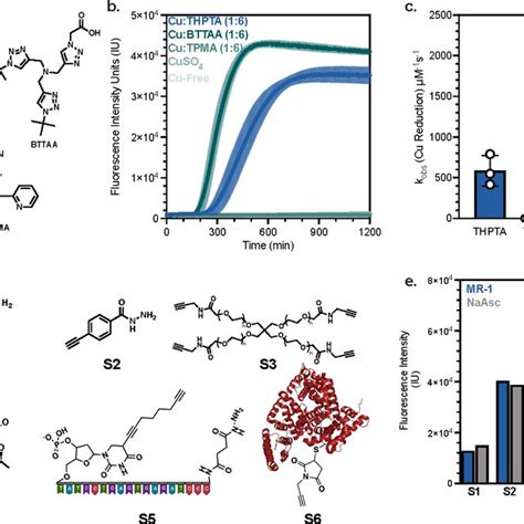 The Effect Of The Copper Ligand On S Oneidensis Catalyzed CuAAC And