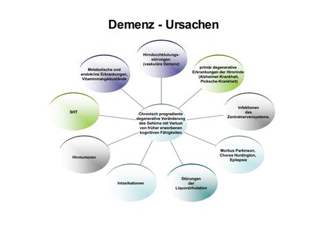 Demenz Ursachen Heilpraktikerausbildung Niedersachsen