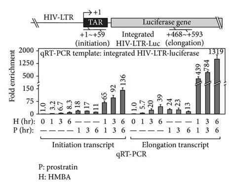 Hmba And Prostratin Synergistically Antagonize Hiv Latency In J Lat