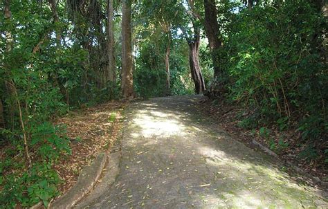 Parque Arruda C Mara Jo O Pessoa Veja Dicas No F Rias Brasil