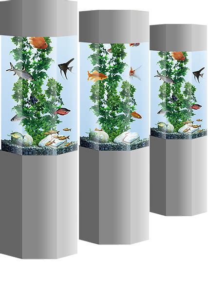 Tall Cylinder Fish Tank Atelier Yuwa Ciao Jp