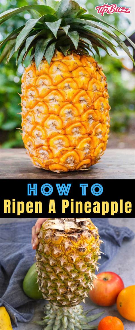 How To Ripen A Pineapple Fast 3 Easy Ways TipBuzz