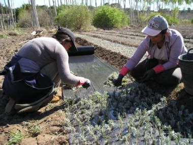 Aprobadas Las Bases Reguladoras De Subvenciones A Entidades De Mujeres