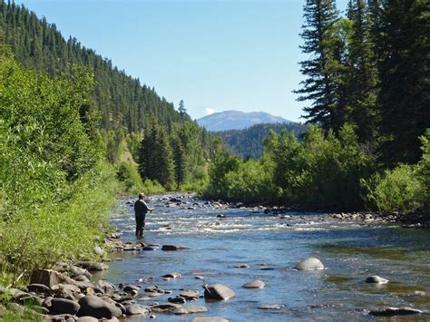 Piedra River - near Pagosa Springs-Arboles, CO | San Juan National Forest - Uncover Colorado