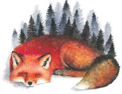 Fox Sleeping Drawing