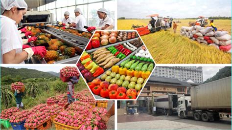 Agriculture Forestry And Fisheries Exports Surge Vietnam Economic