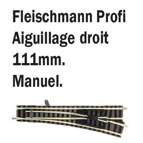 Aiguillage Droit Droit Fleischmann N Pour Mod Lisme Ferroviaire