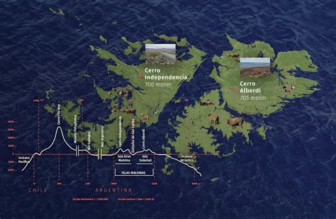 Flora De Las Islas Malvinas Diversidad Y Adaptación Teleflor