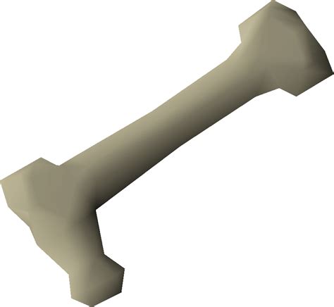 Long bone | Old School RuneScape Wiki | FANDOM powered by Wikia