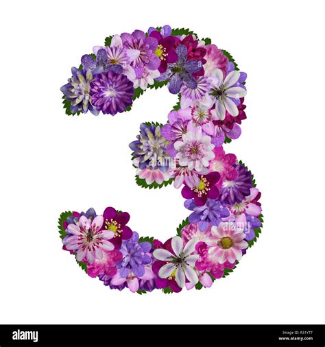 flowers alphabet number 3 Stock Photo - Alamy