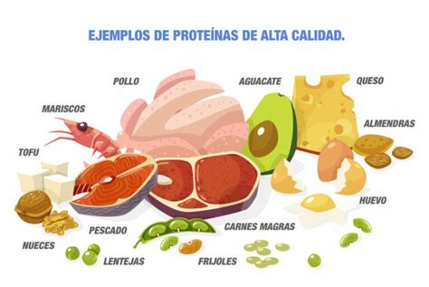 11 Alimentos Que Te Ayudarán A Desarrollar Músculo Y Tonificar