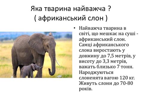 Презентація "Світ тварин