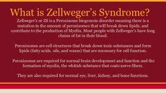 Zellweger Syndrome Ideas Hypotonia Vision Loss Muscle Tone