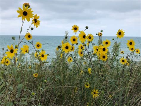 Michiana beaches offer sand, water, accessibility, paddling and more