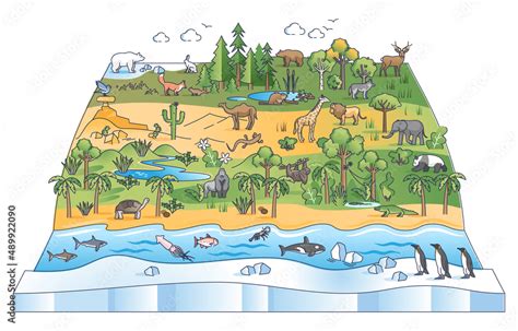 Biodiversity Scene With Flora And Fauna Ecological Zones Outline