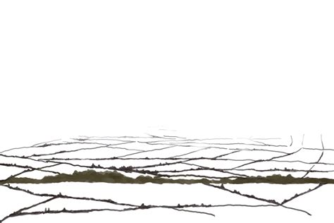 Paddi PNG Transparent, Paddy, Farmland, Rice, Field PNG Image For Free ...