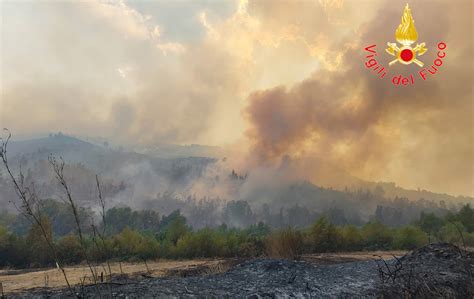 Vasto Incendio Di Vegetazione Nel Crotonese Fuoco Lambisce Ss E